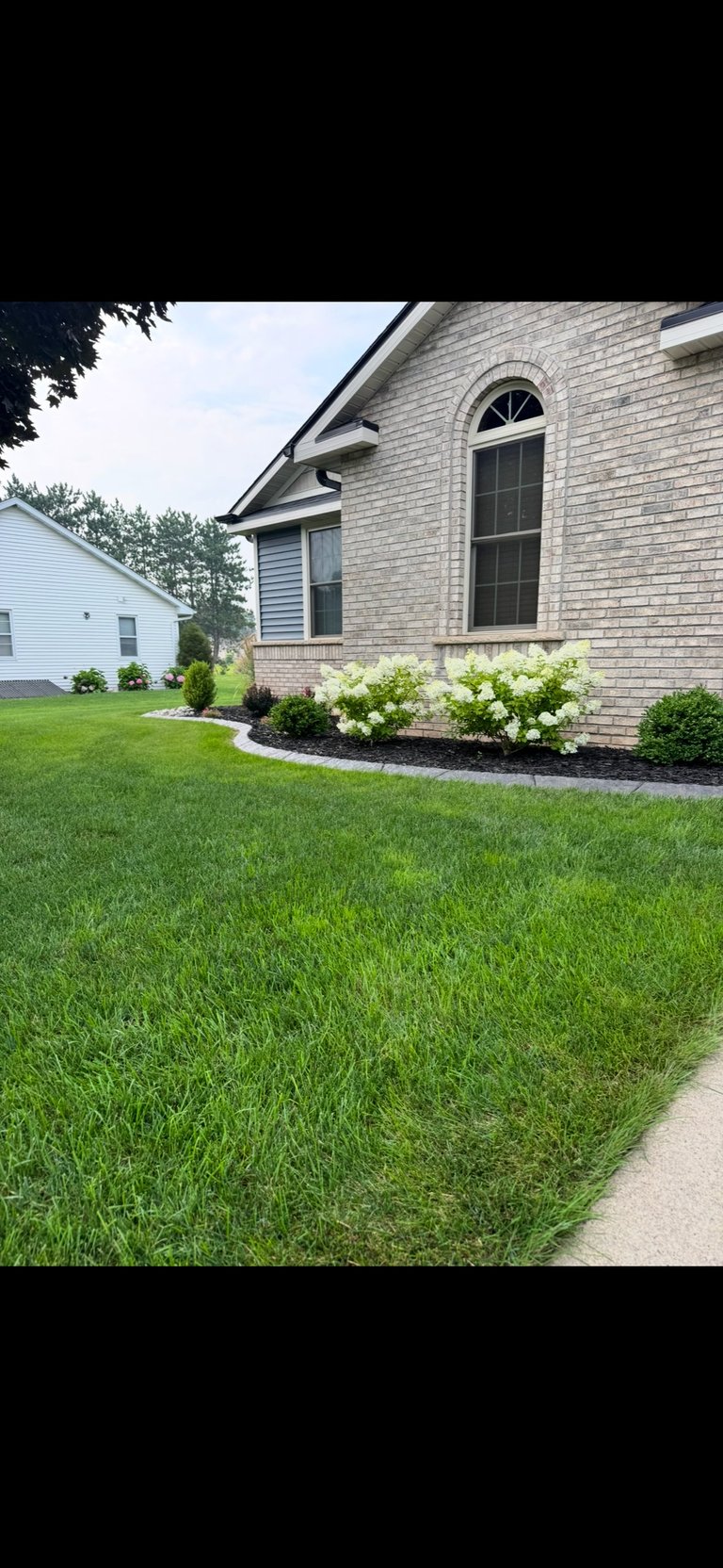 Brick residential home with manicured lawn and white flowering shrubs in the landscaping bed