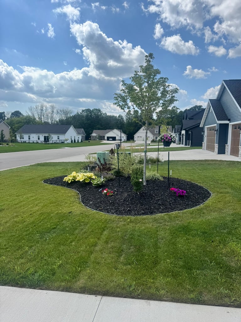 Newly planted young tree in landscaped garden bed with yellow and pink flowers, surrounded by green lawn and residential homes on sunny day