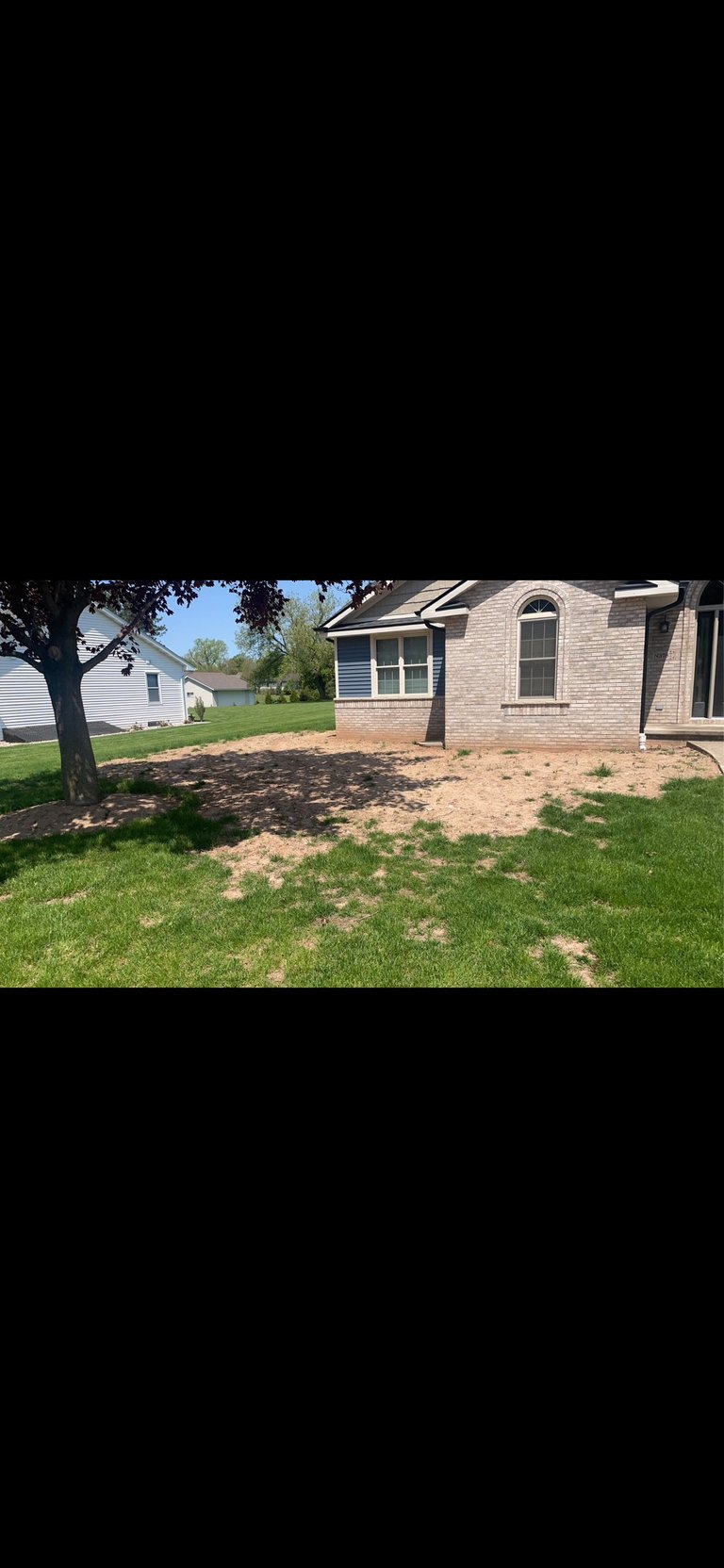 Residential brick house with bare patches in front lawn during landscaping or yard work