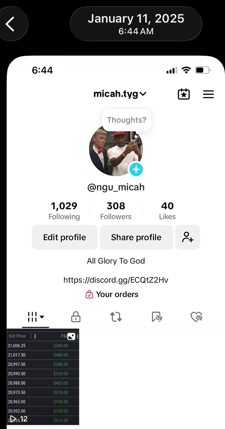 Screenshot of Twitter-like profile for micah.tyg showing 1,029 following, 308 followers, and 40 likes with All Glory To God bio
