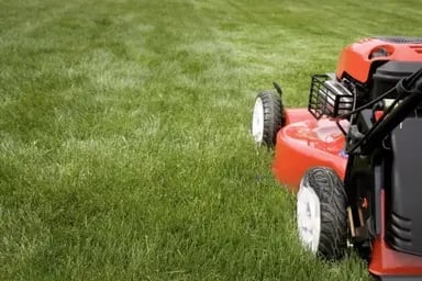 Mowing and edging service