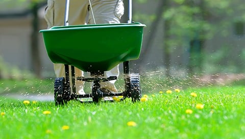Fertilization and weed control