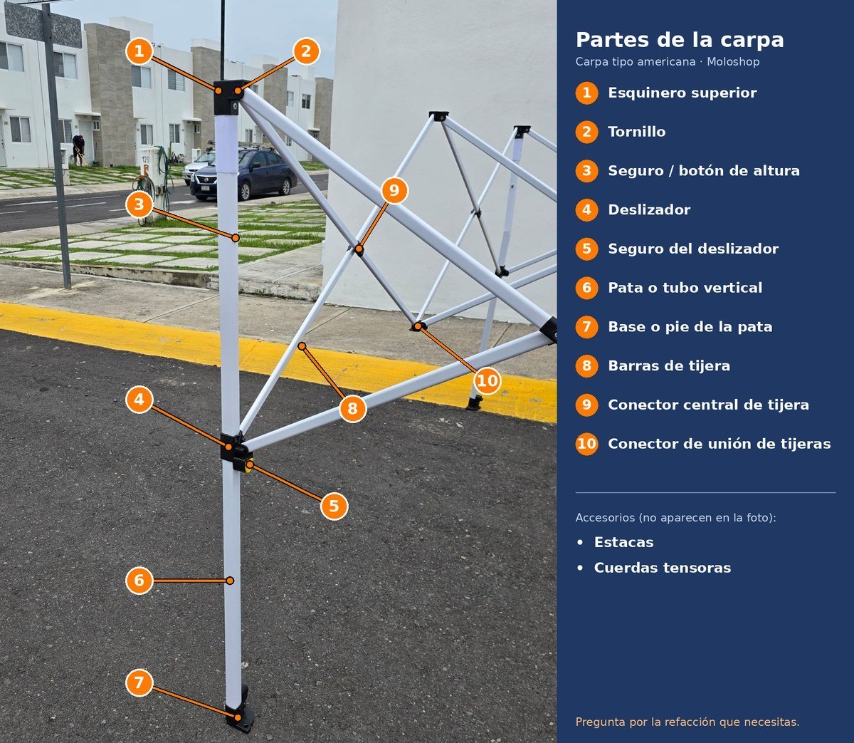 Partes de la carpa: diagrama de la estructura con sus refacciones numeradas