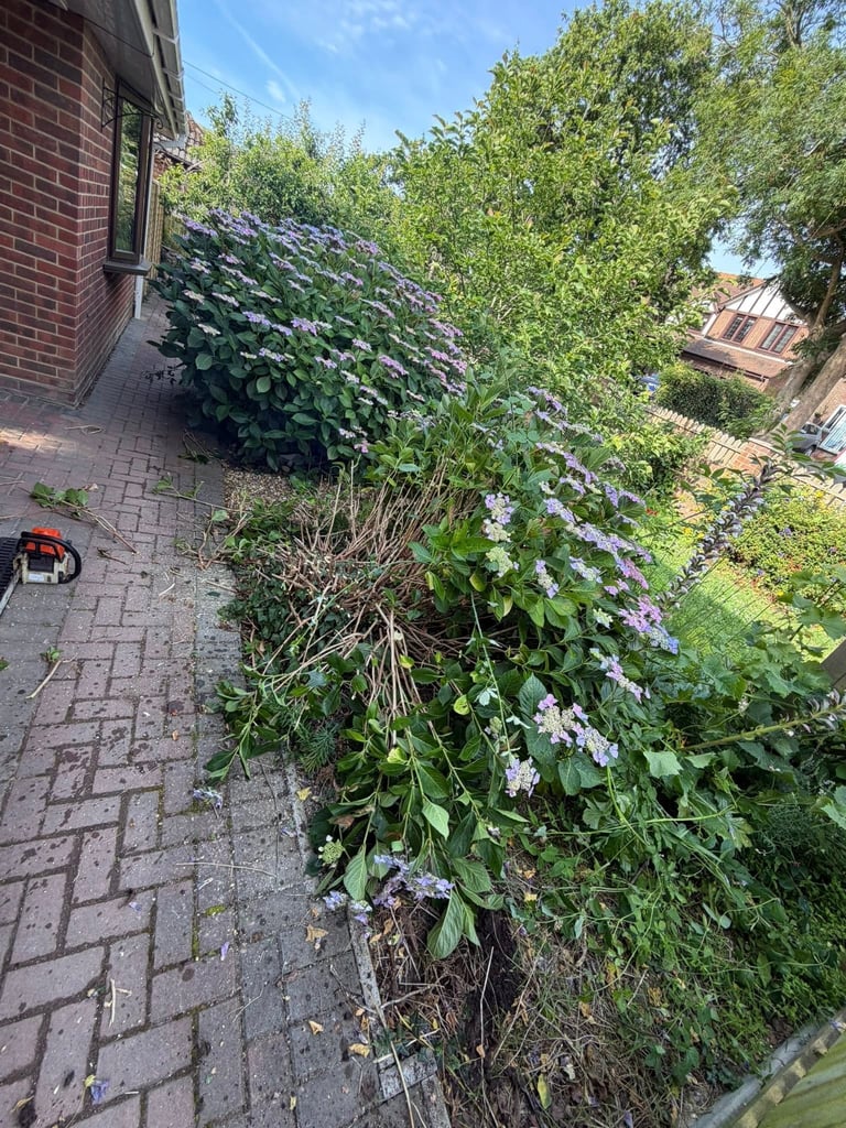 Garden Clearances