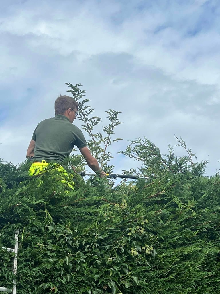 Hedge Cutting