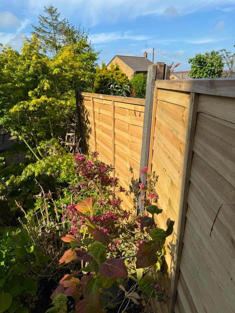 Fencing Installation