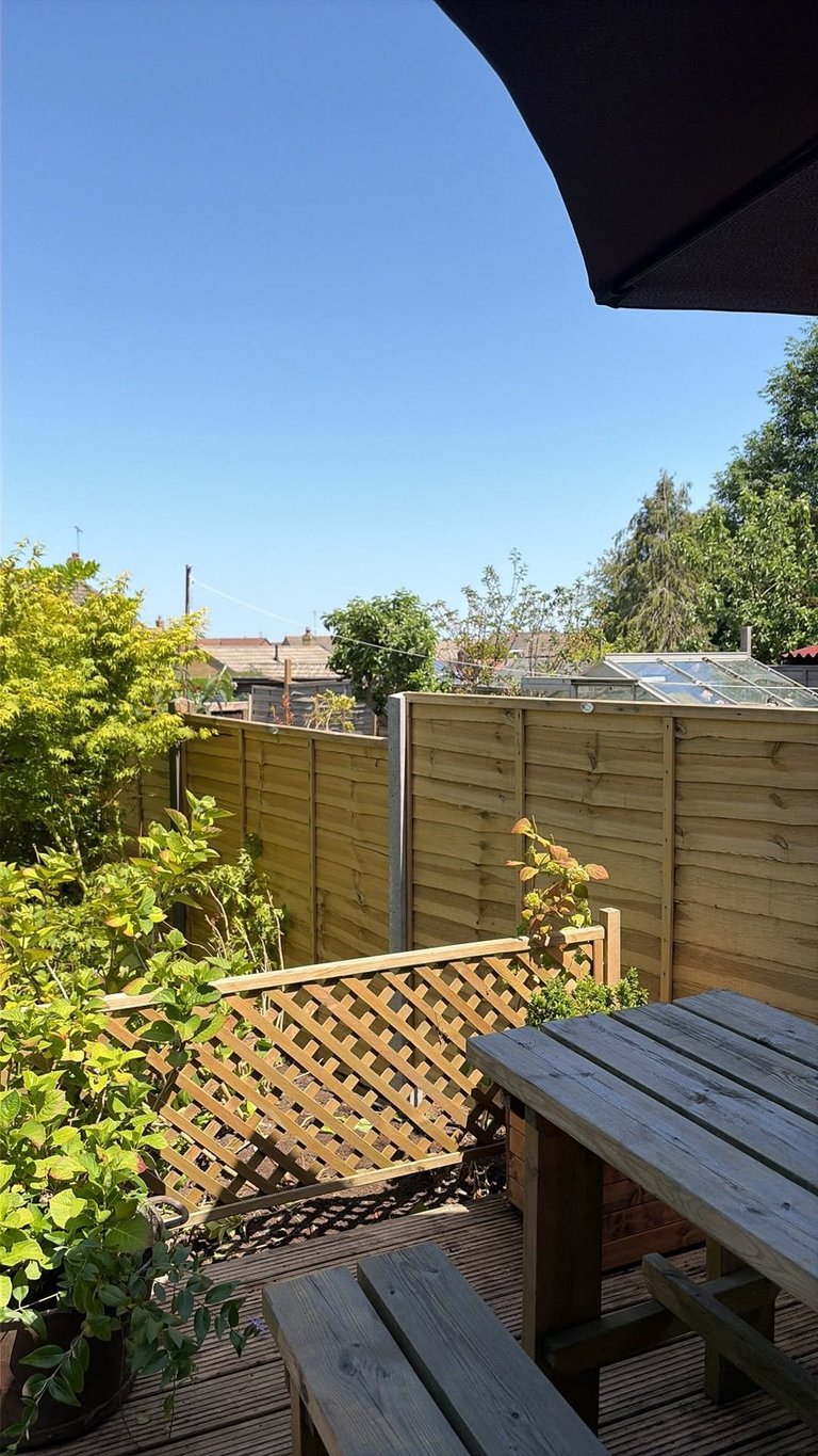 Garden Patio & Decking