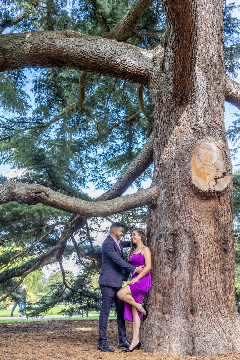 Couple in formal attire posing under large gnarled tree branch in park setting