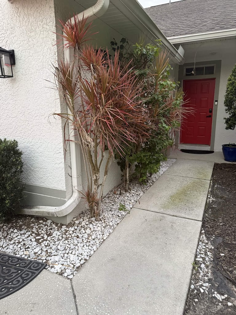 Front entrance of a home with a red door, white stucco walls, decorative red cordyline plant, climbing ivy, and white gravel landscaping along a concrete walkway