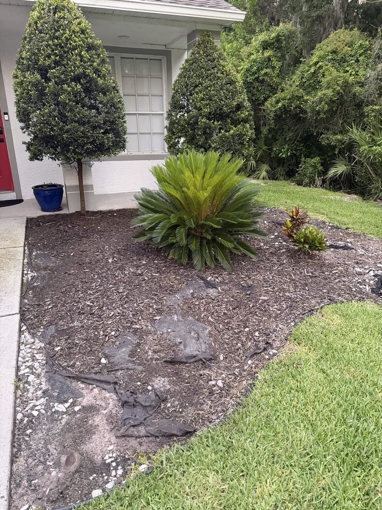 Landscaping & Yard Work