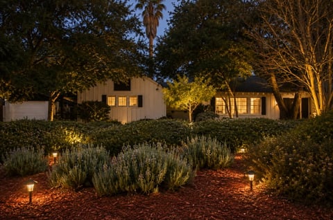 Modern house at dusk with illuminated windows, surrounded by landscaping, palm trees, and garden lighting