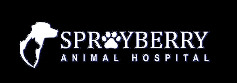 Sprayberry Animal Hospital logo with dog silhouette and paw print on black background