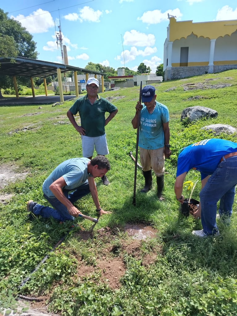 Cuatro personas plantando juntas un árbol en una ladera con pasto, edificios rurales y antenas al fondo durante la reforestación