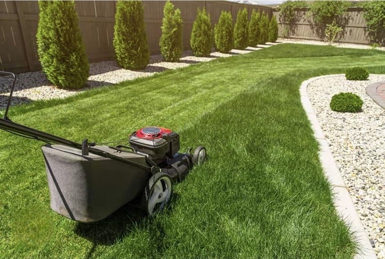 Reel lawn mower on manicured green grass in a residential backyard with decorative landscaping and cypress trees