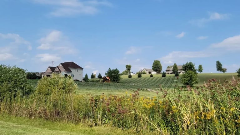 Rural farmhouse with expansive green fields and wildflowers under a clear blue sky