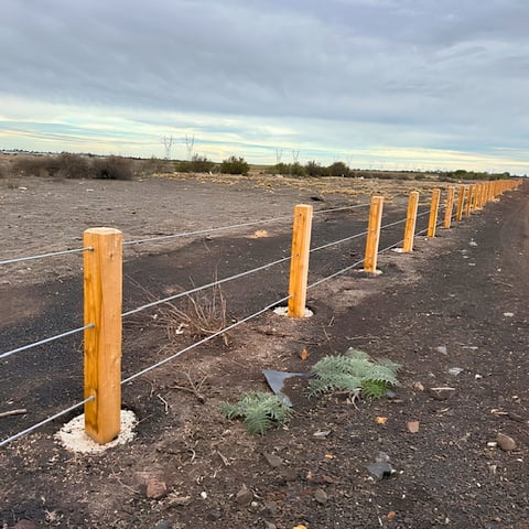 Row of yellow wooden posts marking a cleared agricultural field under cloudy sky