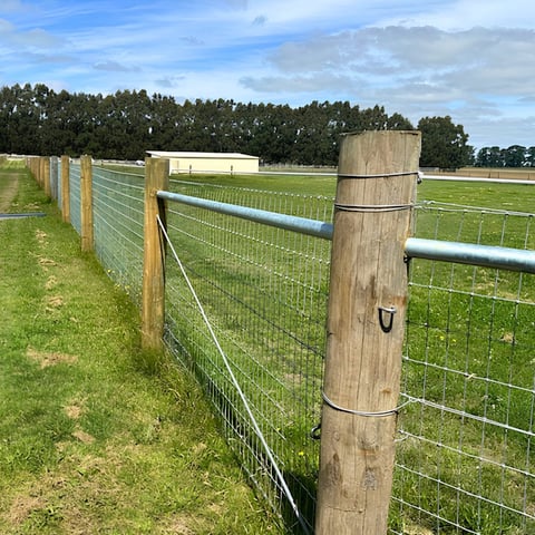 Rural farm fencing with wooden posts and metal rails surrounding a green pasture with tree line in background