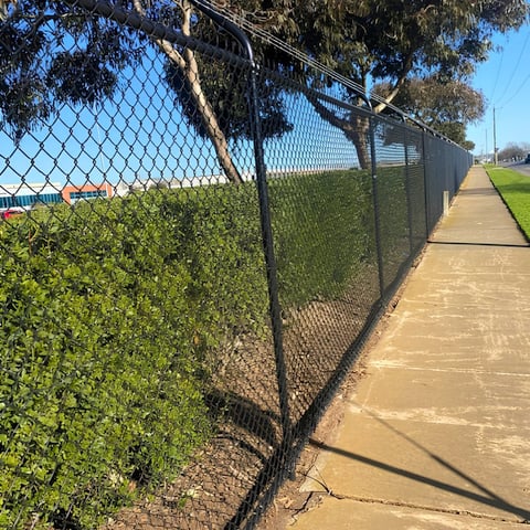 Chain-link fence along a dirt path at a sports field with trees and green vegetation visible