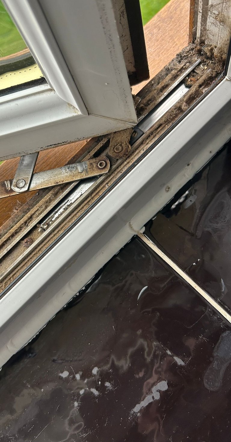 Close-up of a dirty window frame with visible mold and mildew on wooden sill