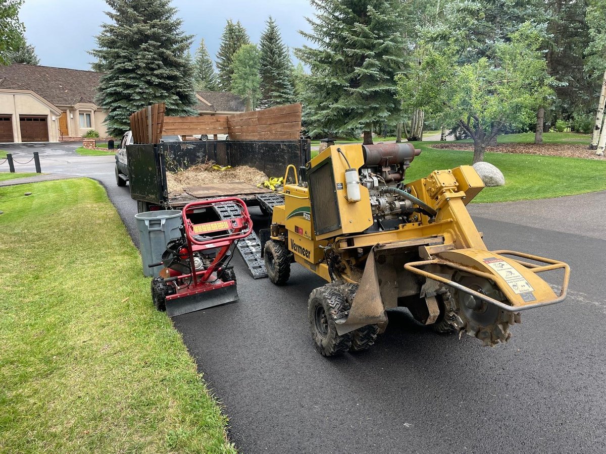 Yellow Vermeer stump grinder and red tracked equipment on a trailer full of wood chips parked on a residential asphalt driveway