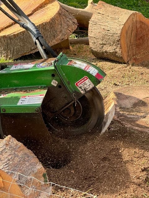Green wood chipper machine with black rubber wheel processing wood logs in an outdoor work area