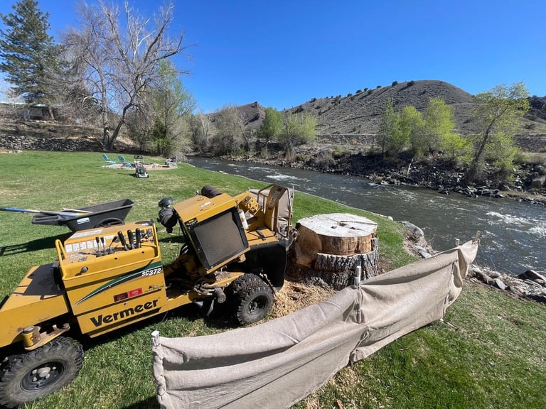 Yellow Vermeer wood chipper machine operating on a grassy riverbank with logs and a canvas collection bin, mountains and river visible in background.