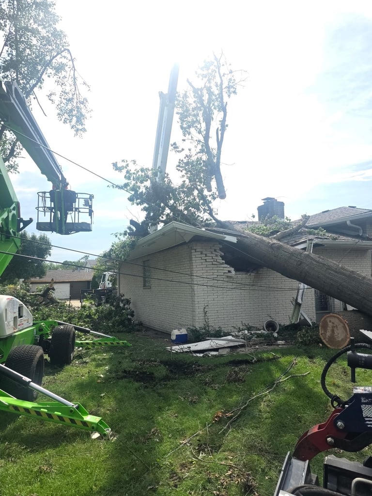 A large tree being cut down with heavy machinery next to a brick house, with wood logs on the ground below.