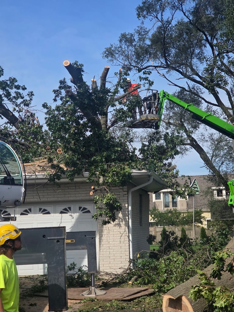 Tree trimming crew using a green lift bucket to cut branches above a residential house with garage