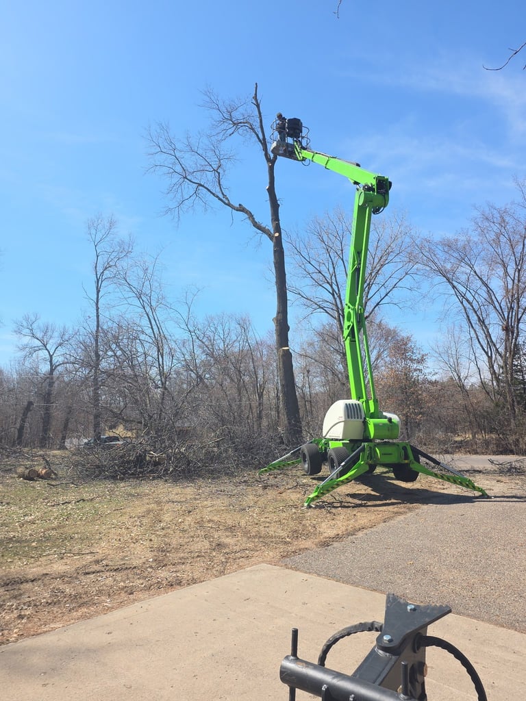 Green boom lift trimming branches from a tall dead tree in an open wooded area on a clear day