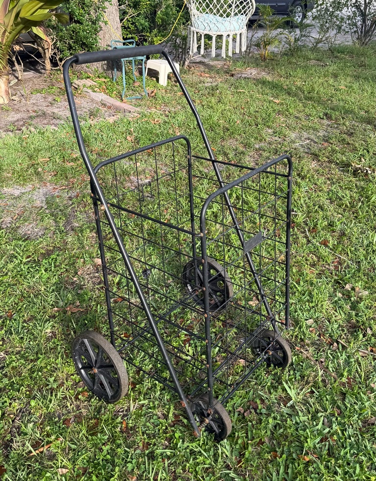 Ms. Shirley's shopping cart — the cart she used to carry her belongings, a symbol of her journey