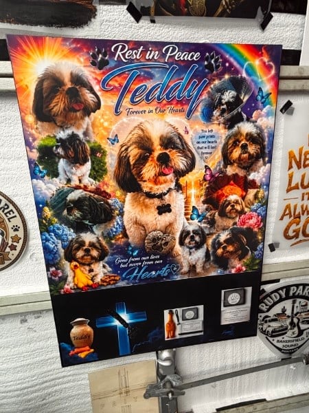 Rest in Peace memorial plaque for Teddy featuring multiple photos of a Shih Tzu dog surrounded by colorful flowers and rainbows