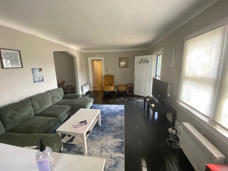 Bright living room with green sofa, white coffee table on blue rug, hardwood flooring, and windows with blinds