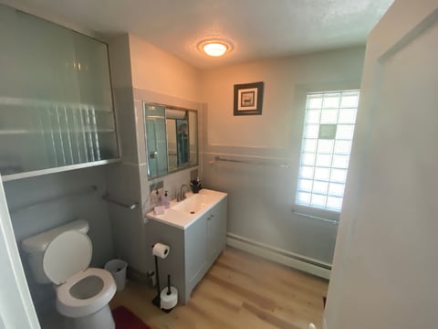 Modern bathroom interior with toilet, sink vanity, shower enclosure, and frosted glass door with natural lighting