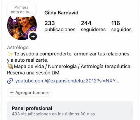 Perfil de Instagram de Gildy Bardavid antes — 233 publicaciones, 244 seguidores y 116 seguidos