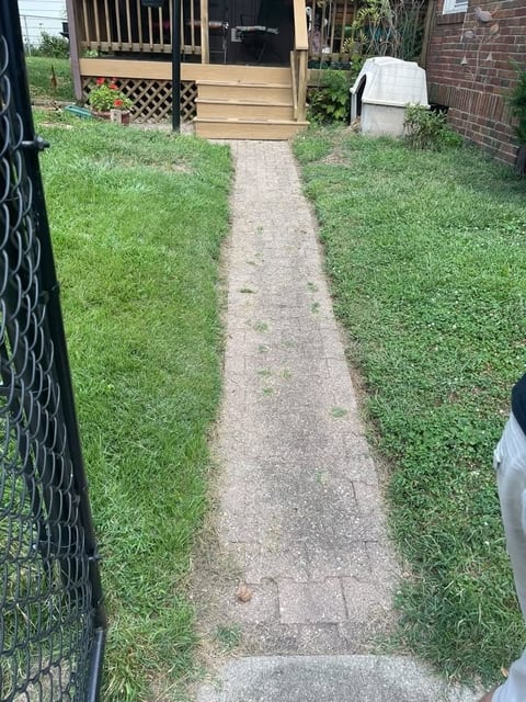 Concrete pathway between grassy yards leading to wooden gate and brick house entrance