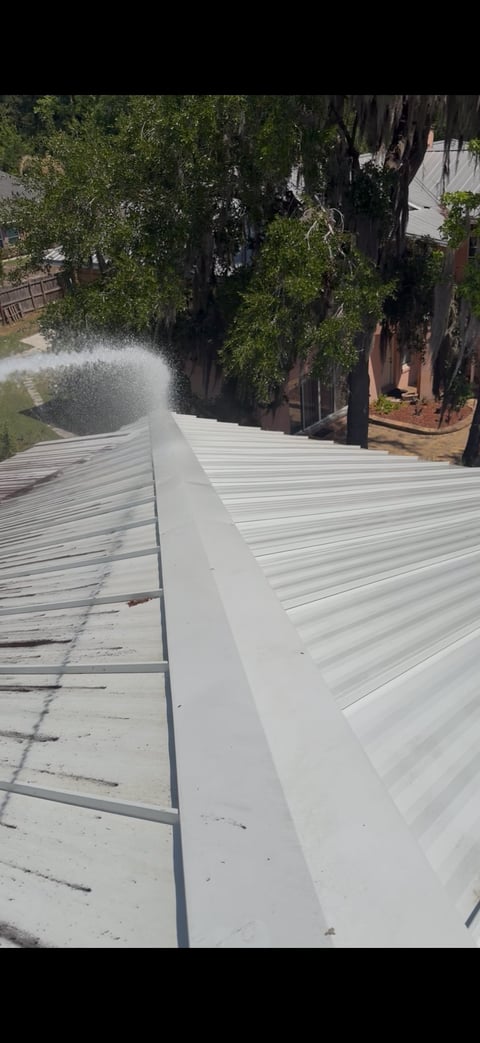 Elevated view of white corrugated metal roof with large trees and residential neighborhood visible below