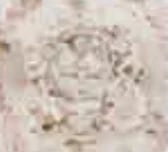 Close-up of white and beige crumbled texture, possibly concrete, stone, or crushed material with irregular surface pattern