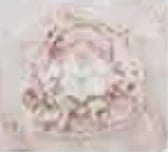 Microscopic view of cellular structures with pink and white nuclei clustered together in tissue sample