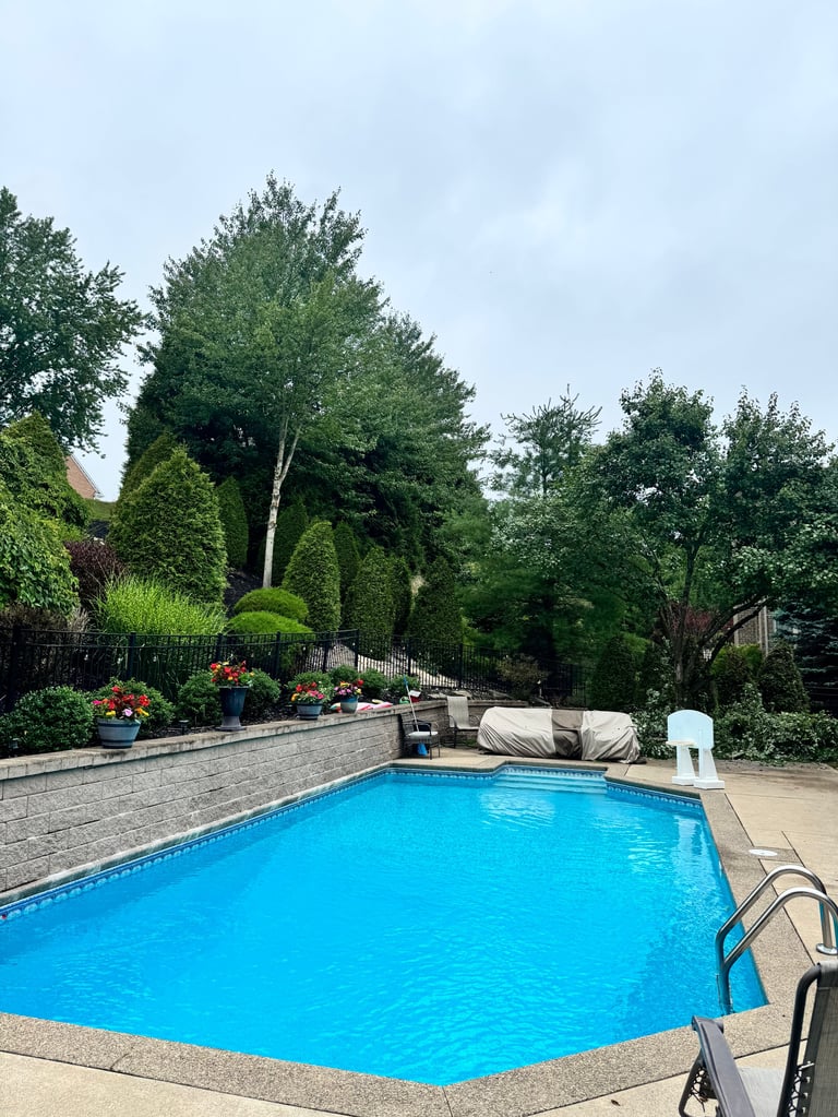 Backyard swimming pool with bright blue water, concrete deck, metal ladder, stone border wall, flowering planters, and mature green trees in background