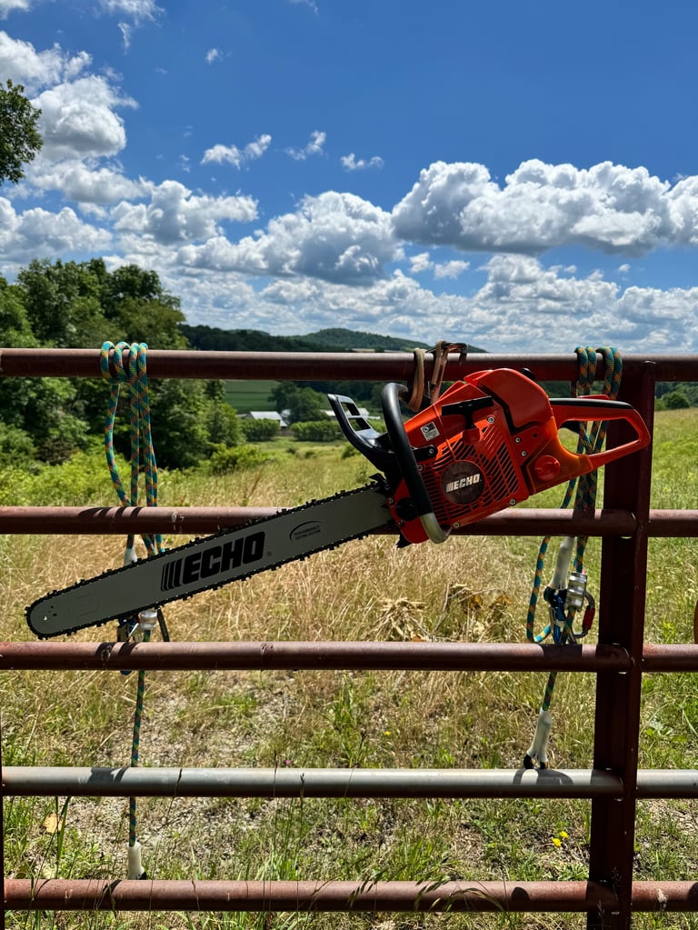 Red Echo chainsaw hanging on a metal farm gate with green fields and blue sky in background
