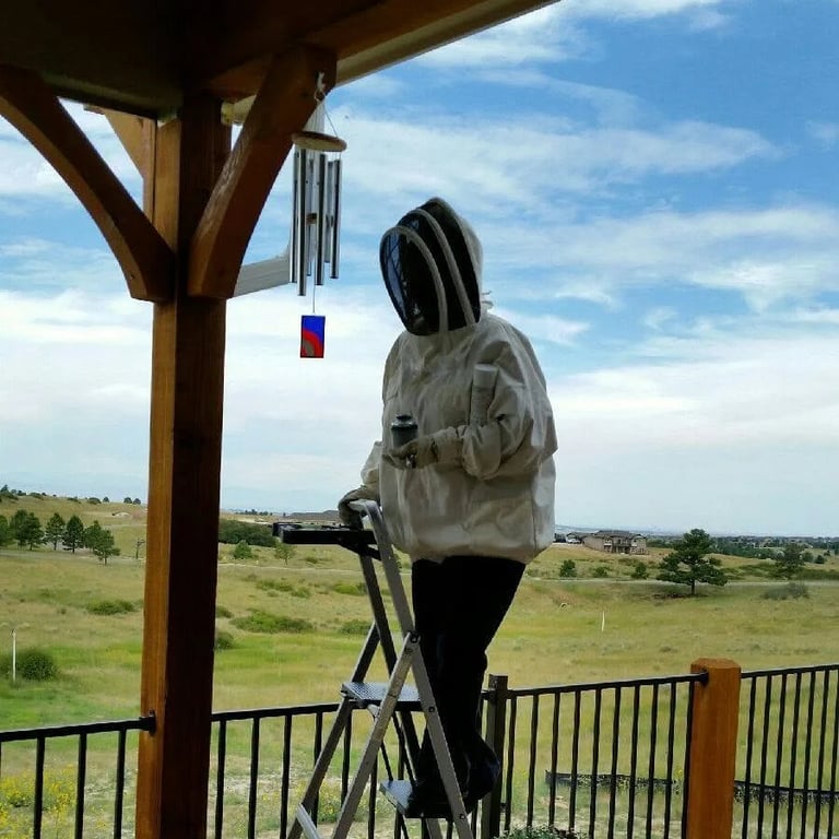 Pest control technician in full protective beekeeper suit and veiled helmet on a ladder treating a covered porch with wind chimes, overlooking rural Colorado landscape
