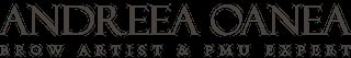 Andreea Oanea brow artist and PMU expert logo in gray text