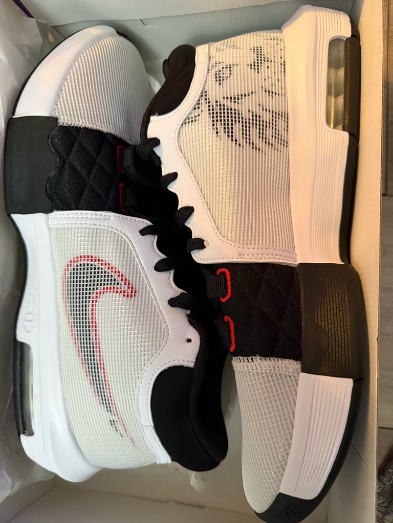 Nike LeBron Witness VIII white sneakers with black stripes on a blue box
